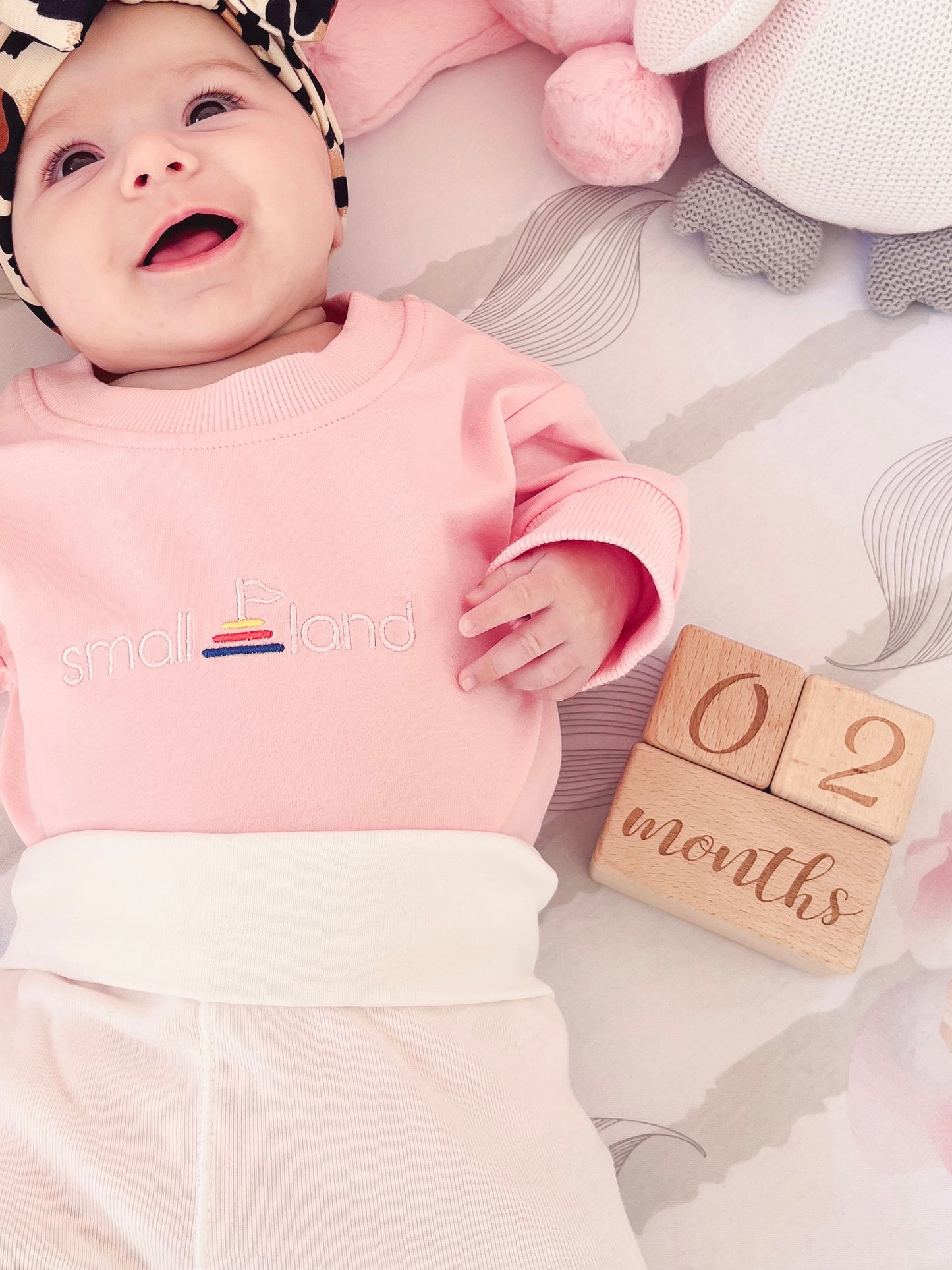Baby Milestone Blocks