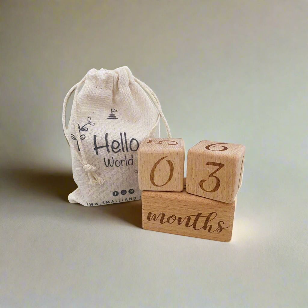Baby Milestone Blocks