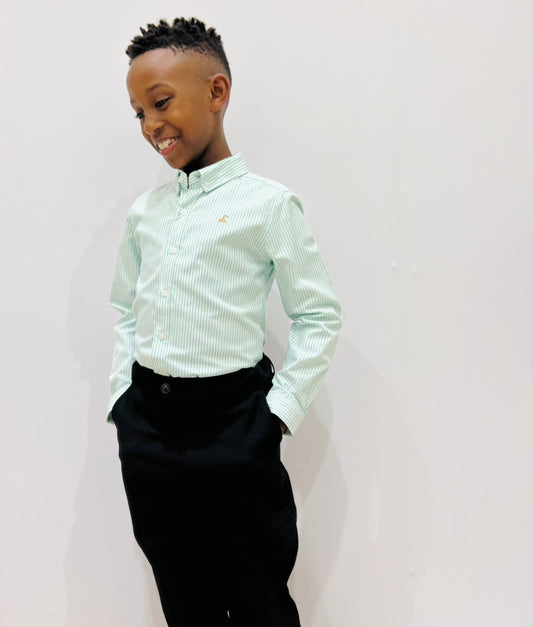 Button Up pinstripe shirt