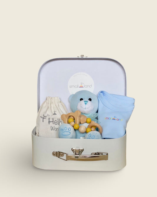 Newborn Baby Boy Gift Bundle with Teddy