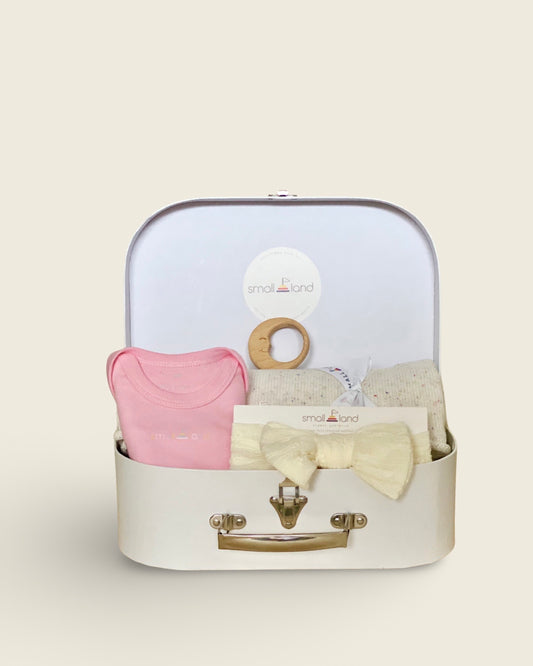 Newborn Baby Girl Bundle - Large Suitcase Box