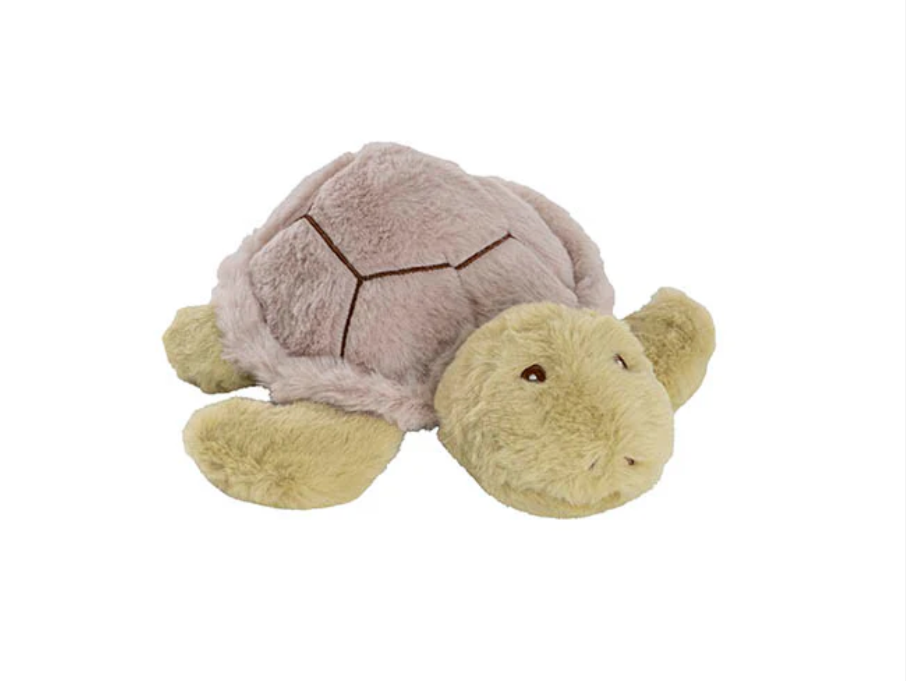 Plush turtle toy on a white background